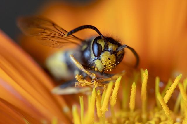 Stratégies de succès pour la création dune micro-entreprise résiliente