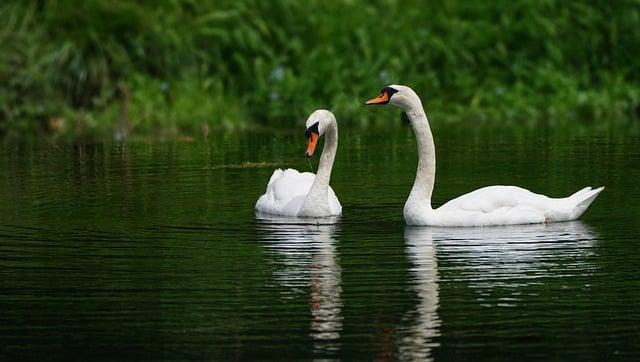 Activités extérieures pour toute la famille