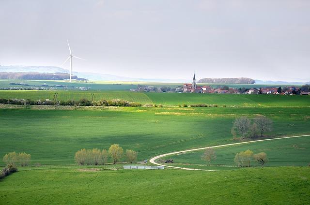 Stratégies de Développement Durable : Lilium Face aux Défis Écologiques