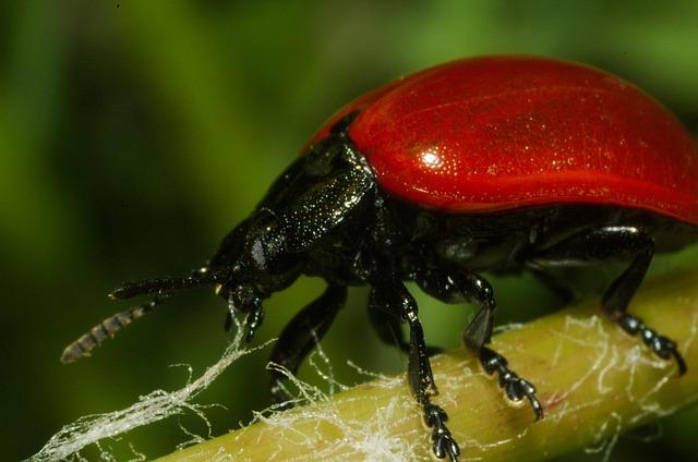 Les erreurs à éviter lors du lancement dune micro-entreprise