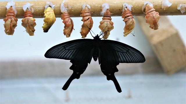 la transformation climatique à Nice : un regard sur les prévisions météorologiques