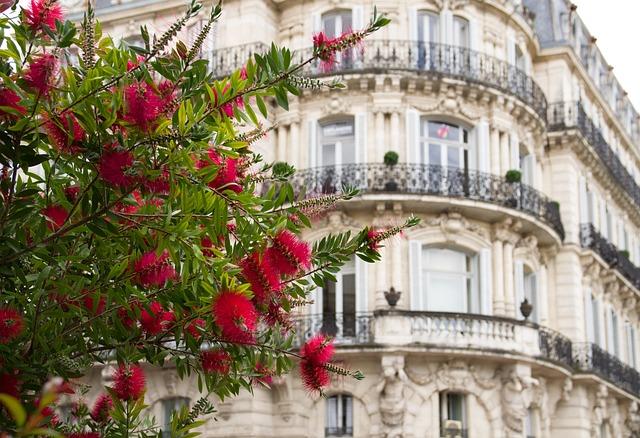 Analyser les Tendances Climatiques à Montpellier pour un Meilleur Confort Quotidien