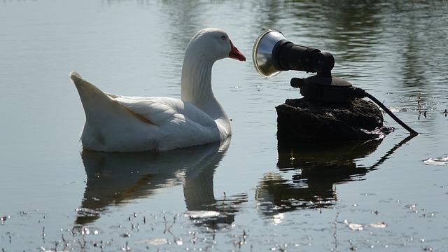 Recommandations pour un dialogue interculturel renforcé