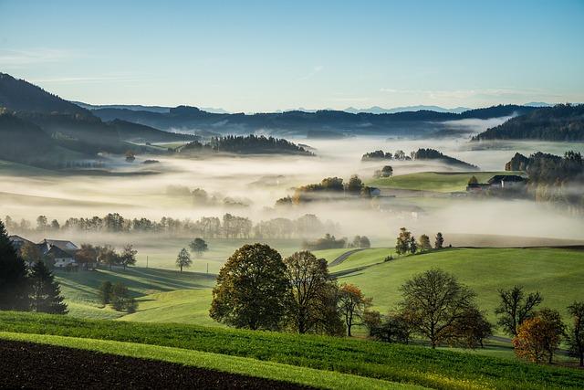 LImpact de la Disparition sur le Paysage Culturel Français