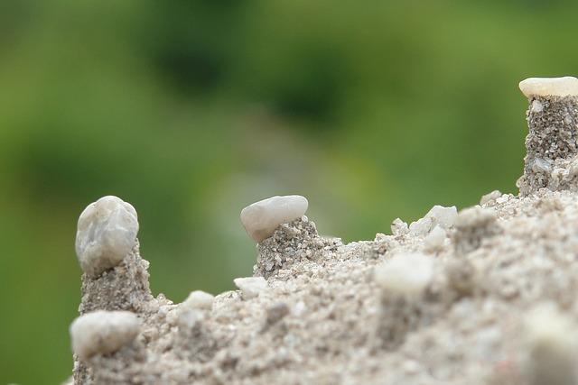 Les bienfaits de la pluie sur la nature lyonnaise : un écosystème florissant