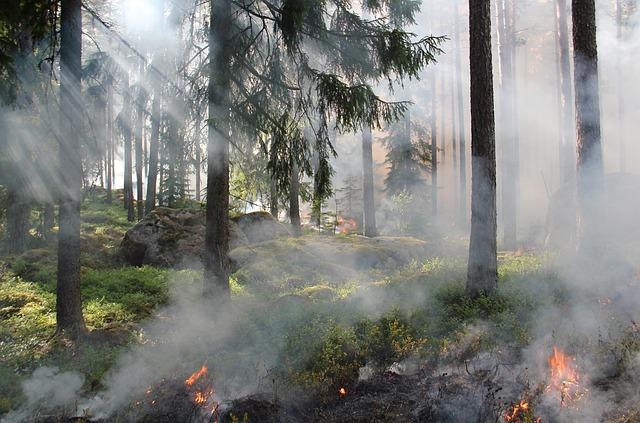 Incendie en cours dans le bidonville de la Prairie-de-Mauves, à Nantes : plusieurs caravanes en feu - France Live