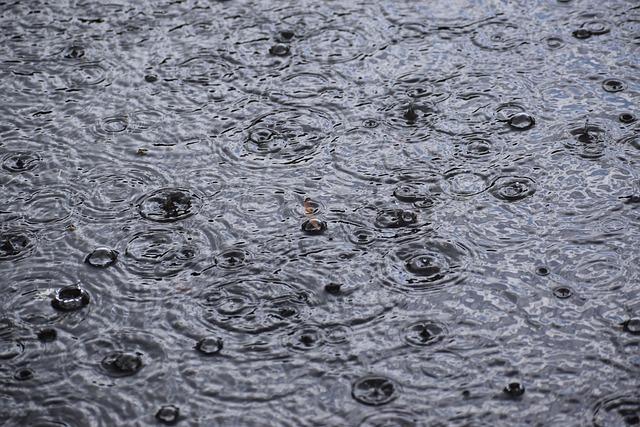 Précipitations attendues : Pluie ou ciel ensoleillé pour la journée ?