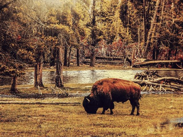 Bison Futé : Analyse de la circulation en Île-de-France ce week-end