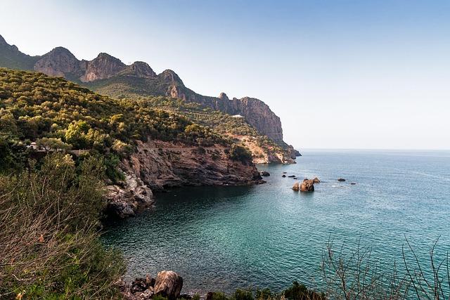 Le sentiment national en Algérie face à la crise actuelle