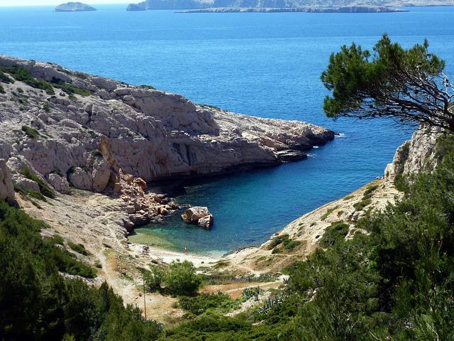 Histoires de résilience : Marseille face à la réémergence de lépidémie