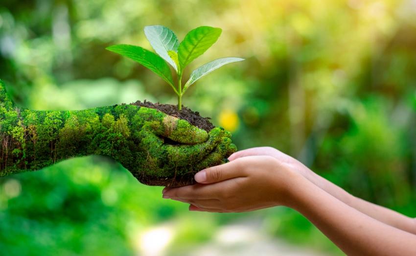 Les défis et opportunités du développement durable