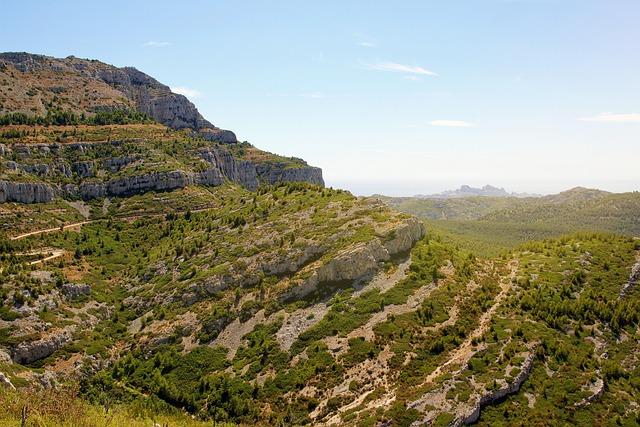 Préservation des calanques : enjeux et recommandations face aux troupeaux de sangliers