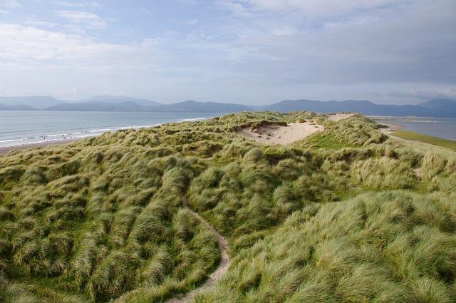 Lémergence dun hymne national : limpact dIreland’s Call sur lidentité irlandaise