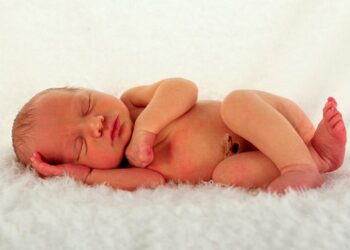 Paris : un nouveau-né est mort, jeté par la fenêtre d’un hôtel par sa mère – ici, le média de la vie locale