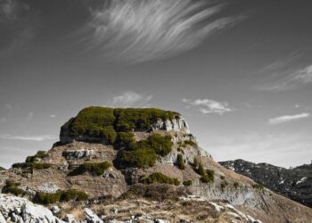 Andrew Knoll, la roche star – France Culture