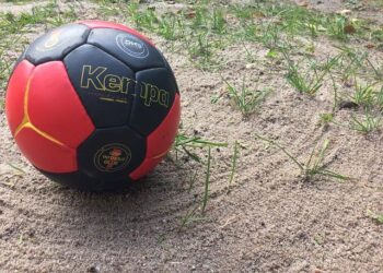 IHF | Le Mondial 2029 à Strasbourg remis en question à cause du Rhenus – HandNews IHF | Le Mondial 2029 à Strasbourg remis en question à cause du Rhenus – HandNews