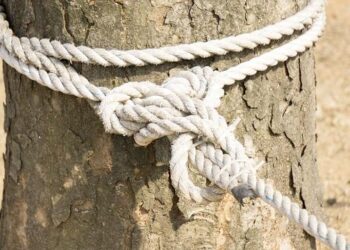 Des “restrictions d’accès” en France mises en place contre des “dignitaires” algériens, annonce Paris – Le Nouvel Obs