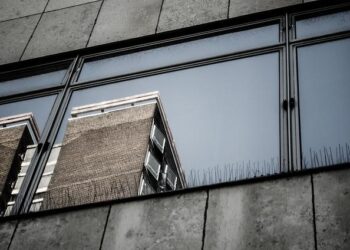 The Brutalist ou le retour de l’auteur monument ? – France Culture