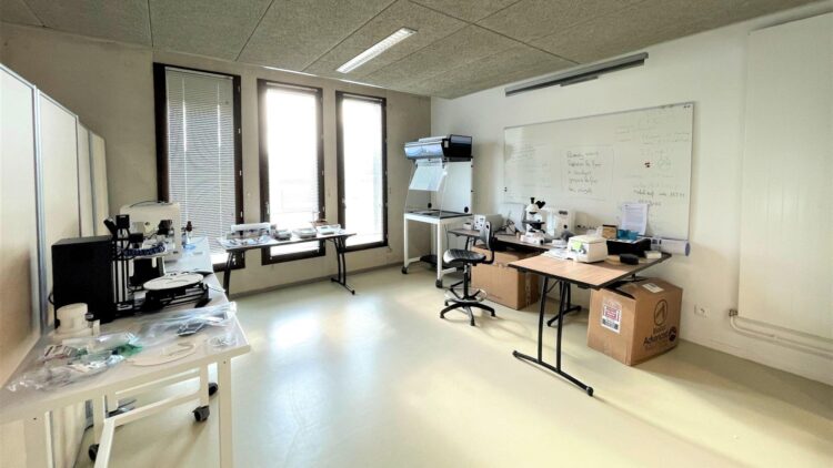 Le TechLab – APF France handicap Le TechLab – APF France handicap