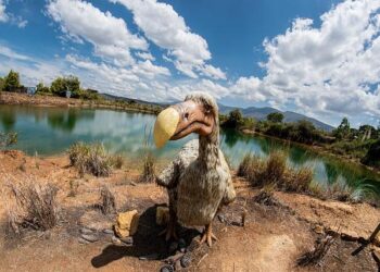 La science peut-elle réveiller le Dodo ? – France Inter