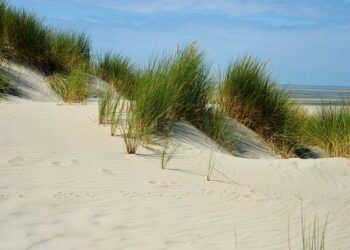 Hauts-de-France Business du mardi 2 avril – Nord : le Kiabi Village va s’implanter à Lezennes – BFM Grand Lille