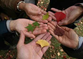« On veut promouvoir la diversité » : Pourquoi le concours Miss Beautiful France casse les codes de la beauté à Toulouse – La Dépêche du Midi