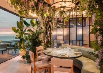Nice. Ce restaurant est « un joyau caché » : dans le top 3 en France selon TripAdvisor – actu.fr