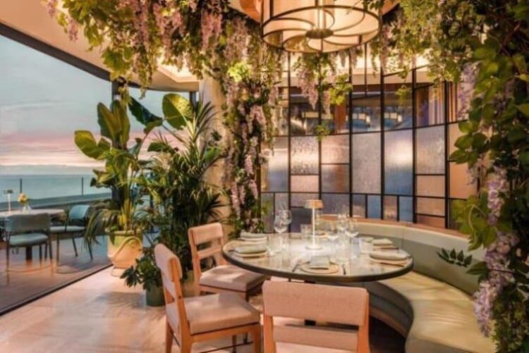 Nice. Ce restaurant est « un joyau caché » : dans le top 3 en France selon TripAdvisor – actu.fr