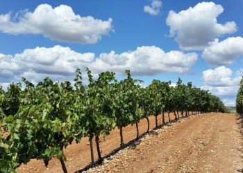 La Réparation – AlloCiné