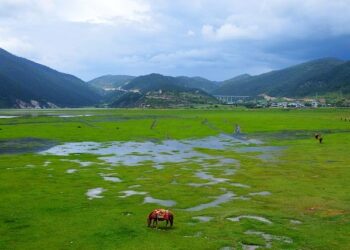 La Cinémathèque française ouvrira une antenne à Marseille en 2026 – Ouest-France