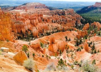 Bryce Dessner – Sony Music Entertainment France