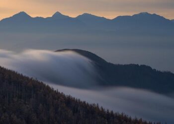Biocomputing : l’ordi-nature – France Culture