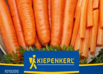 Le corps d’une Nantaise découvert dans un sac-poubelle à Lyon : un homme mis en examen pour meurtre – Ouest-France