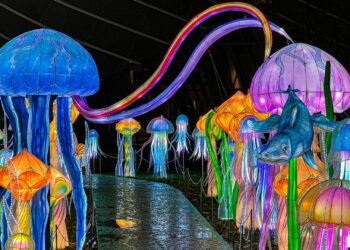 10 sorties incontournables pour égayer votre mois de mars 2025 à Paris – Sortiraparis 10 sorties incontournables pour égayer votre mois de mars 2025 à Paris – Sortiraparis