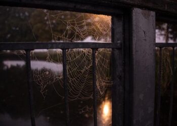 C’est déjà Halloween – Courrier Picard C’est déjà Halloween – Courrier Picard