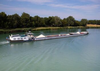 Municipales dans le Rhône: quelle place pour La France insoumise? – BFMTV