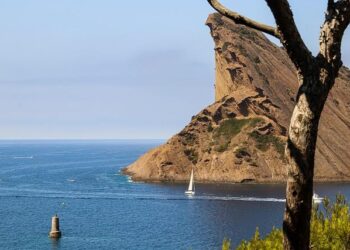 La Cinémathèque française ouvrira une antenne à Marseille en 2026 – France Live