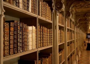 Ezequiel Palacios prolonge jusqu’en 2028 avec Montpellier – L’Équipe