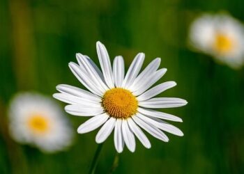 Marguerite Thiam, qui es-tu ? – Sony Music Entertainment France