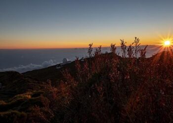 La Fête de la Science du 04 au 14 octobre en Champagne Ardenne – ici, le média de la vie locale
