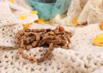 OM – FC Nantes. Des surprises, Simon et Abline en pointe… La compo nantaise est tombée – Ouest-France