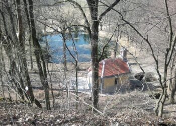 Football : Gérard Bourgoin, ancien président de l’AJ Auxerre, est mort – franceinfo