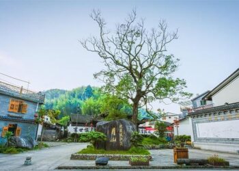 Nos possibles ancêtres les Australopithèques ne mangeaient pas de viande – France Culture