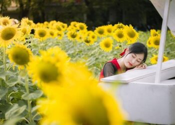 Troisième édition de « Women in Science » : repenser l’IA en santé – France diplomatie