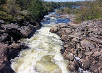 Chute mortelle à Marseille dans un caveau du cimetière Saint-Pierre, le danger « signalé depuis des mois » – ici, le média de la vie locale Chute mortelle à Marseille dans un caveau du cimetière Saint-Pierre, le danger « signalé depuis des mois » – ici, le média de la vie locale