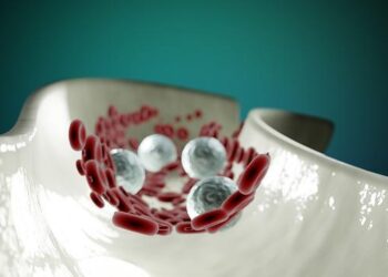 Santé : seulement un Français sur dix a une « santé cardiovasculaire idéale », selon Santé publique France – franceinfo