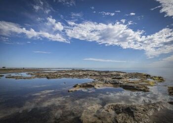 Mars 2025 à Nice : le calendrier 2025 des grands événements à Nice – evous