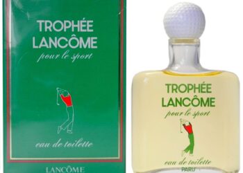 À Carentan-les-Marais, les Trophée des sports permettent de « récompenser l’engagement de tous » – Ouest-France