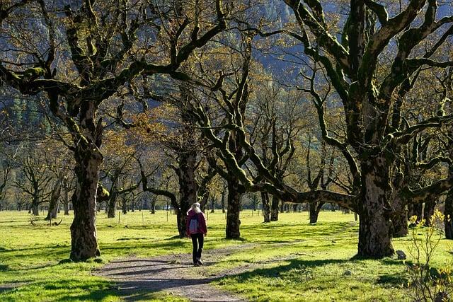 VIDÉO – Les arbres de retour dans les résidences privées : quand les habitants plantent pour lutter contre la chaleur – ici, le média de la vie locale