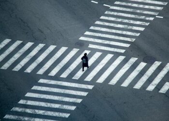 La Transition écologique – CCI France